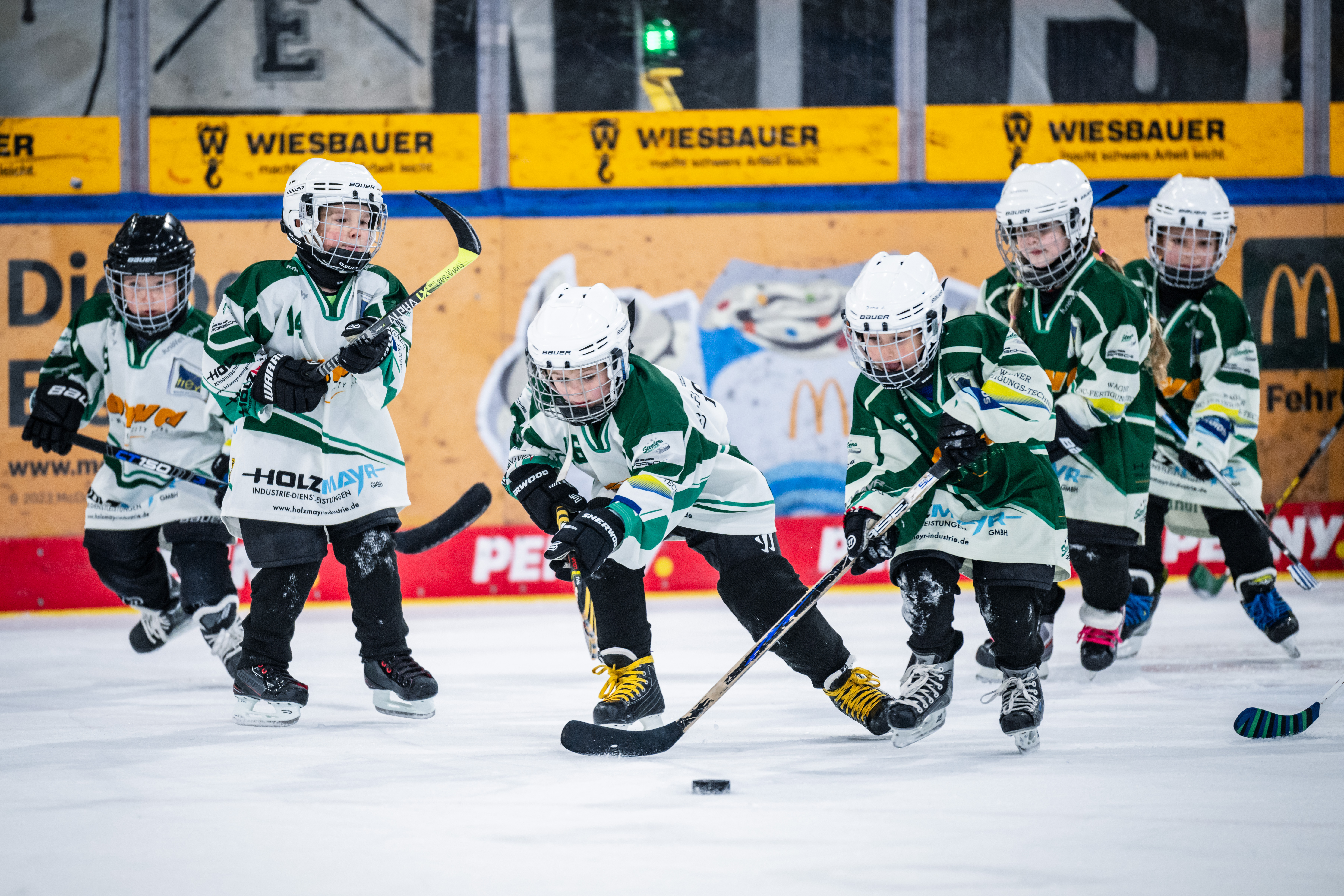 Bietigheimer Steelers