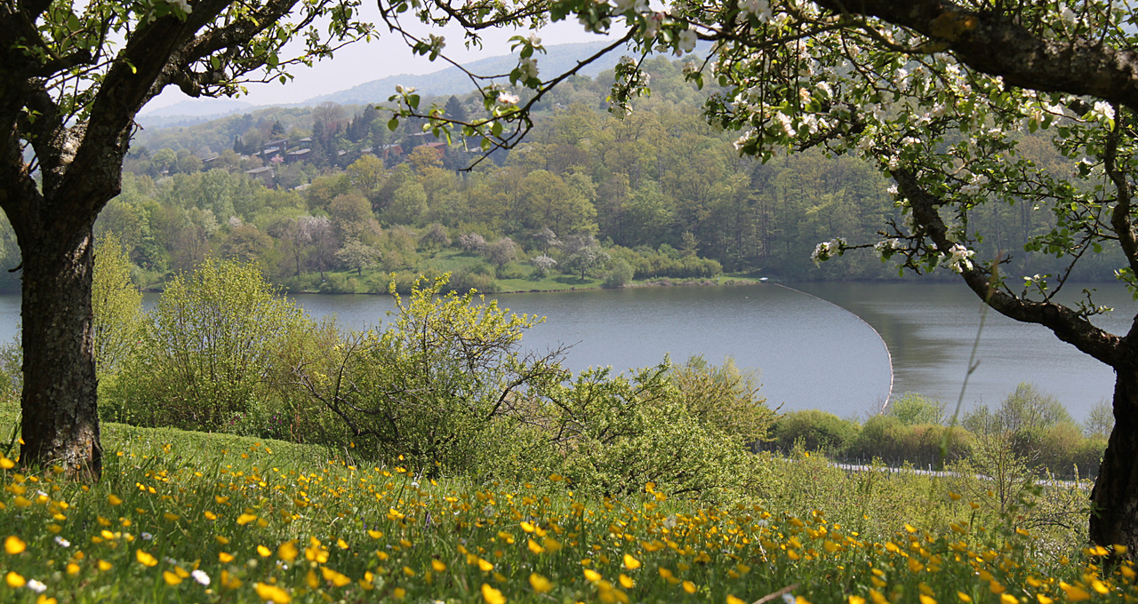 alwa Mineralwasser mit Kohlensäure aus dem Naturpark Stromberg-Heuchelberg