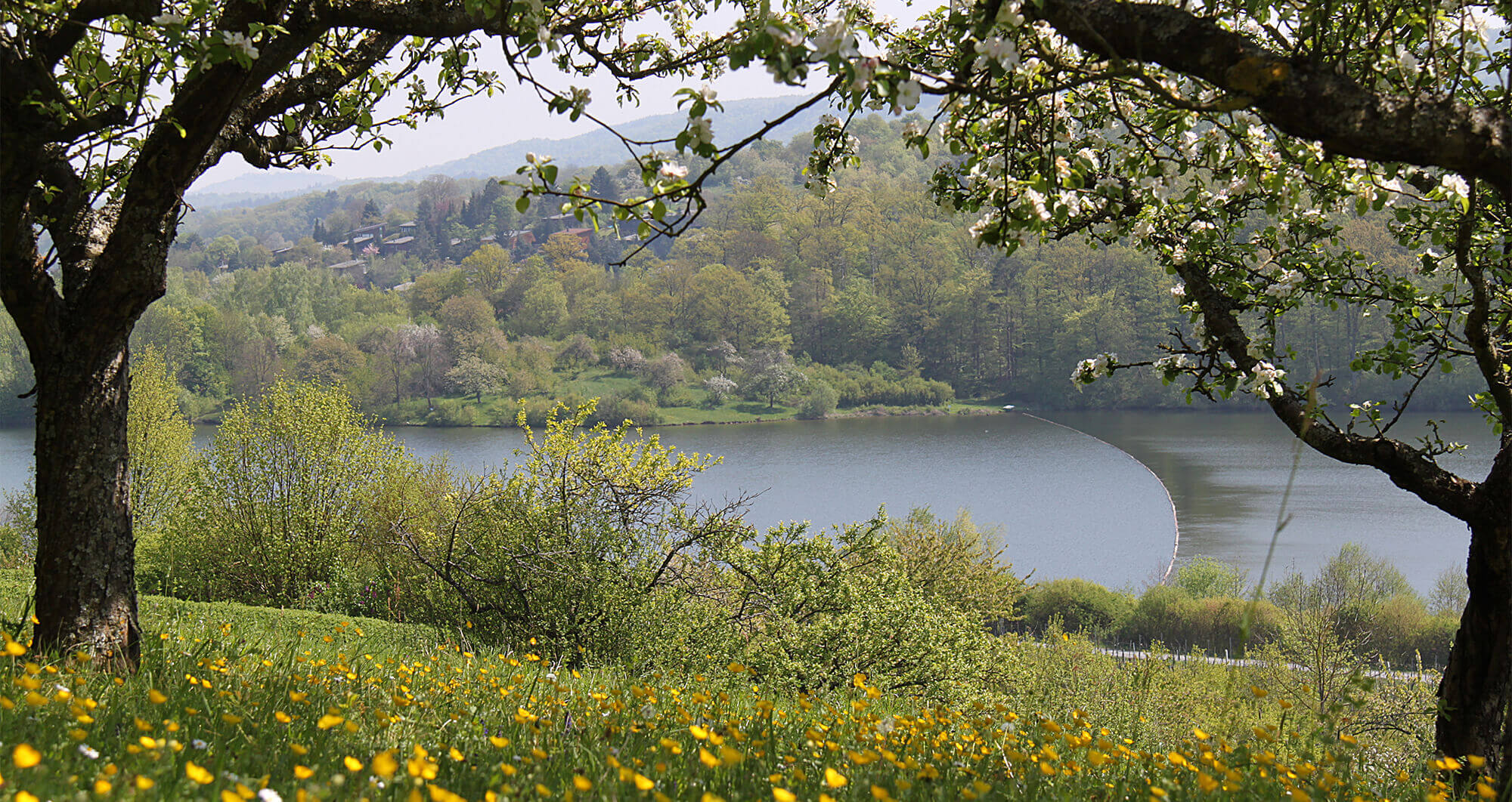 Naturpark Stromberg-Heuchelberg