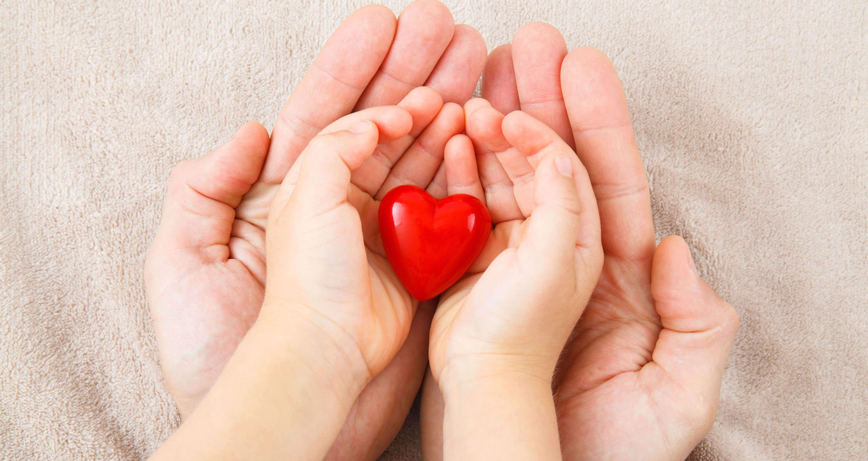 Zwei Hände mit Herz in der Hand